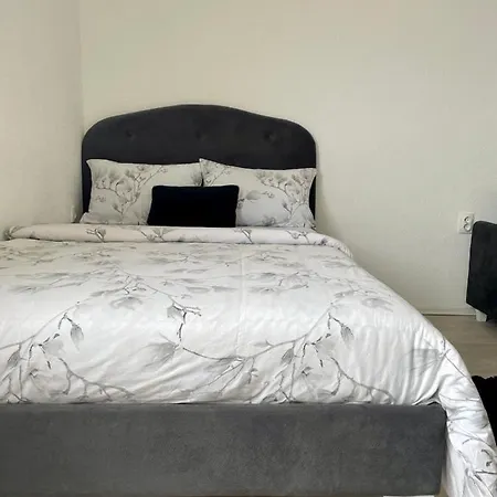 Apartment Andric