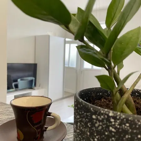 Andric - Stylish & Peaceful With Free Parking - 10 Min Walk To Old Town *