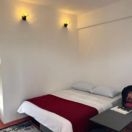 Apartament Andric