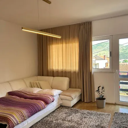 Apartment Andric *