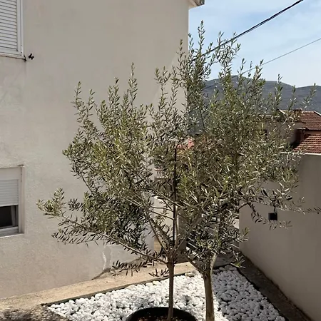 Daire Andric - Stylish & Peaceful With Free Parking - 10 Min Walk To Old Town *